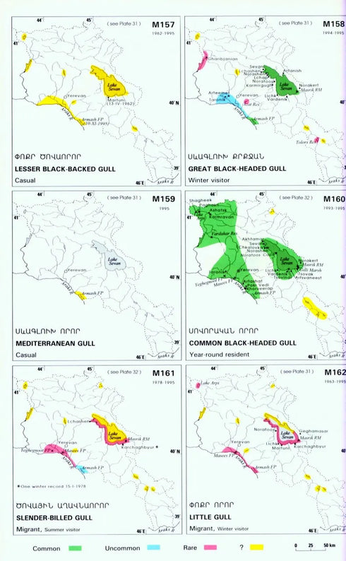 Field Guide to birds of Armenia - Martin S. Adamian 1997